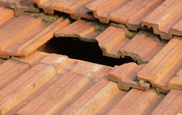 roof repair Biggar